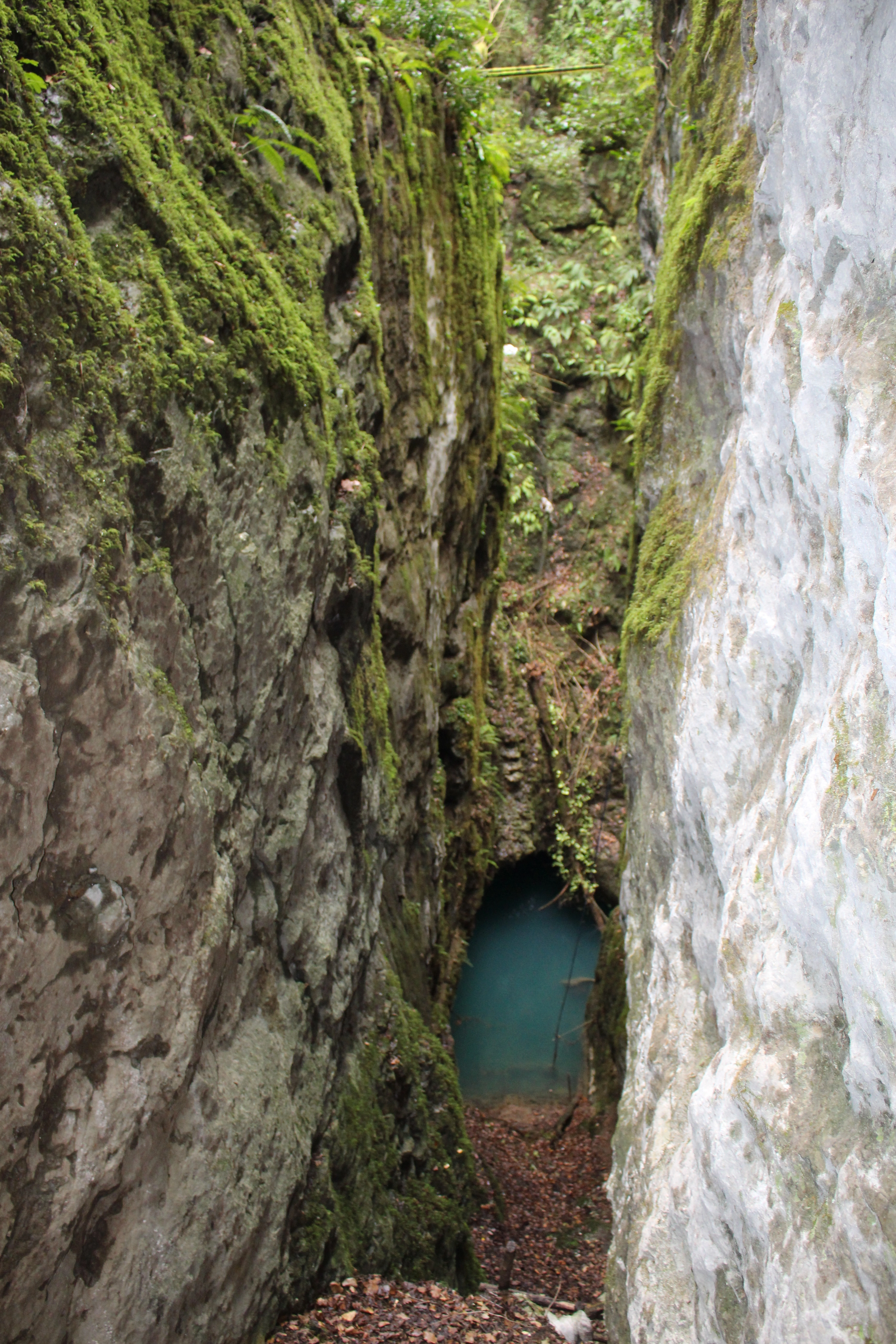 gabzaruli tba